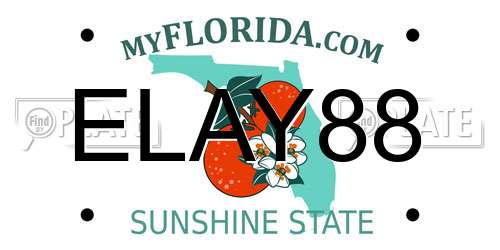 ELAY88 Florida License Plate