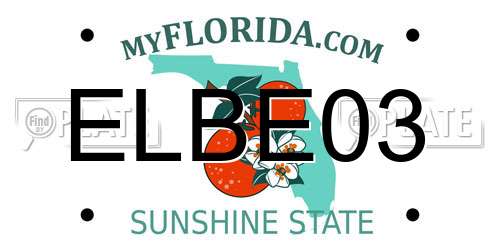 ELBE03 Florida License Plate