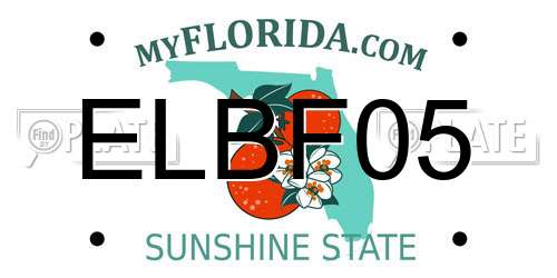 ELBF05 Florida License Plate