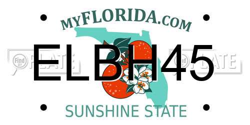 ELBH45 Florida License Plate