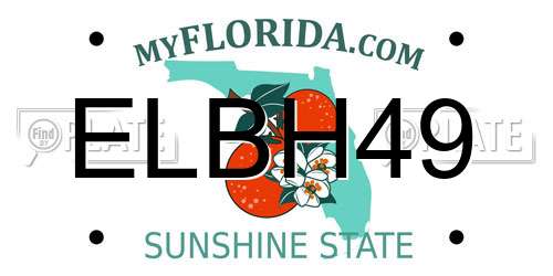ELBH49 Florida License Plate