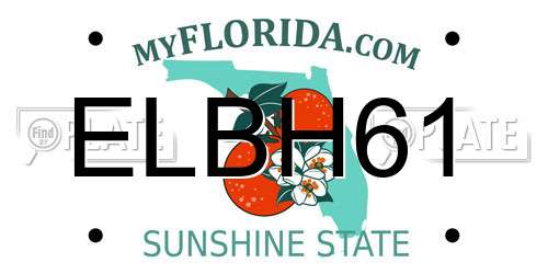 ELBH61 Florida License Plate
