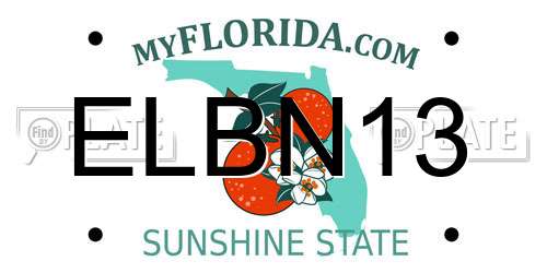 ELBN13 Florida License Plate