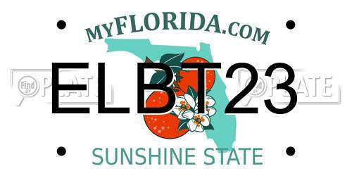 ELBT23 Florida License Plate