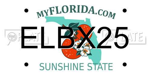 ELBX25 Florida License Plate
