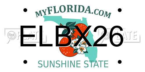 ELBX26 Florida License Plate