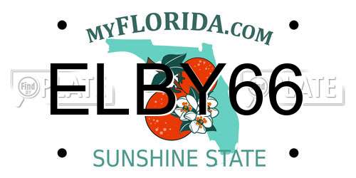 ELBY66 Florida License Plate