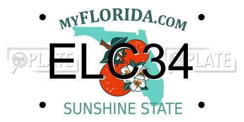 ELC34 Florida License Plate