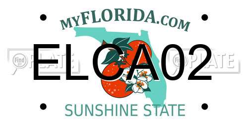 ELCA02 Florida License Plate
