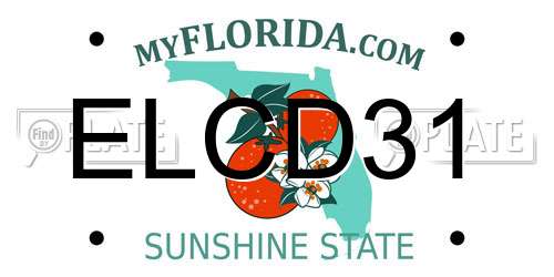ELCD31 Florida License Plate