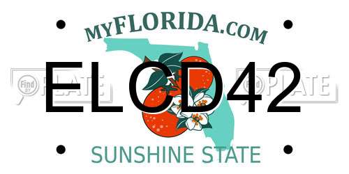ELCD42 Florida License Plate