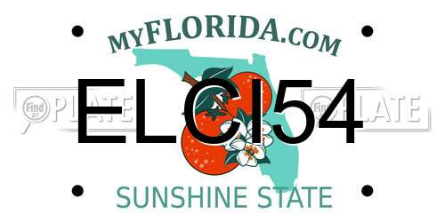 ELCI54 Florida License Plate