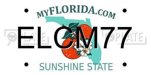 ELCM77 Florida License Plate
