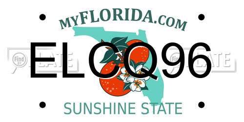 ELCQ96 Florida License Plate