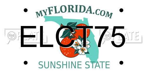 ELCT75 Florida License Plate