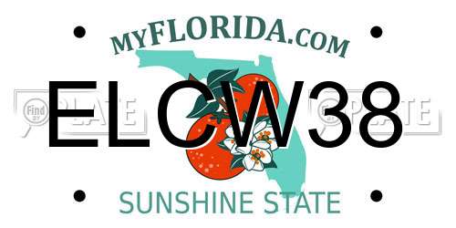 ELCW38 Florida License Plate