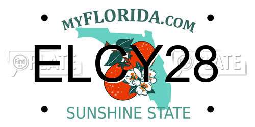 ELCY28 Florida License Plate