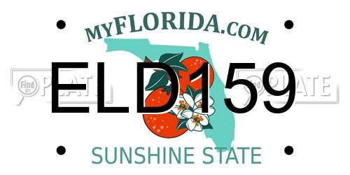 ELD159 Florida License Plate