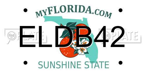 ELDB42 Florida License Plate