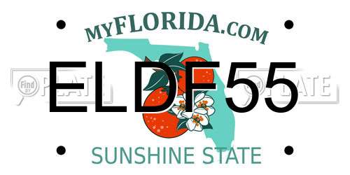 ELDF55 Florida License Plate