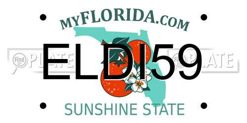 ELDI59 Florida License Plate