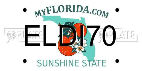 ELDI70 Florida License Plate