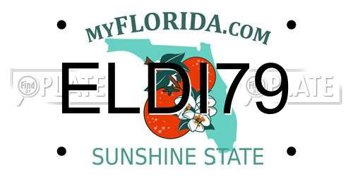 ELDI79 Florida License Plate