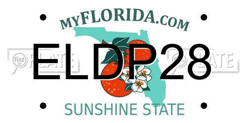 ELDP28 Florida License Plate