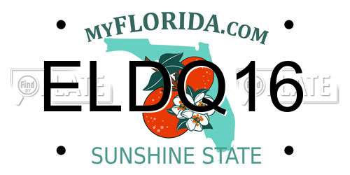ELDQ16 Florida License Plate