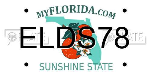 ELDS78 Florida License Plate
