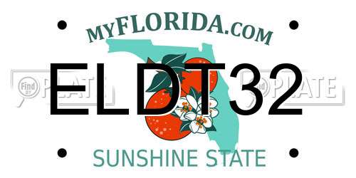 ELDT32 Florida License Plate