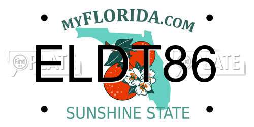 ELDT86 Florida License Plate