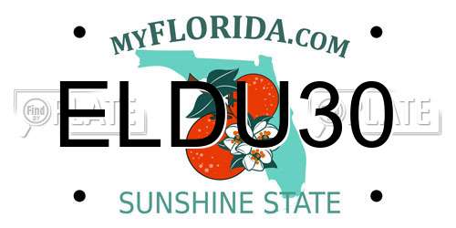 ELDU30 Florida License Plate