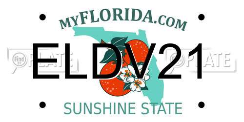 ELDV21 Florida License Plate