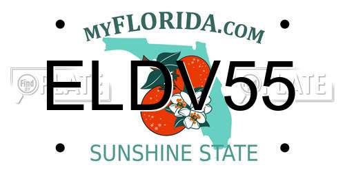 ELDV55 Florida License Plate