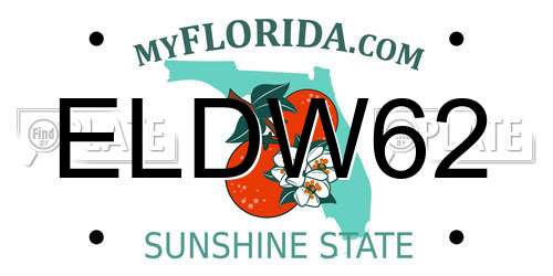 ELDW62 Florida License Plate
