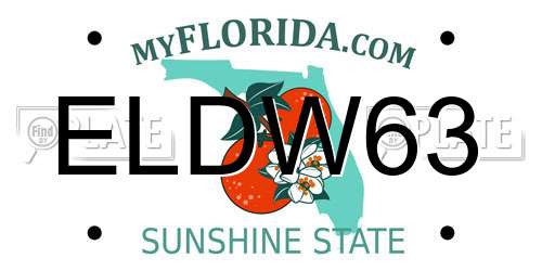 ELDW63 Florida License Plate