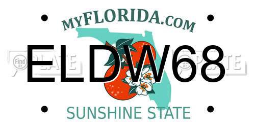 ELDW68 Florida License Plate