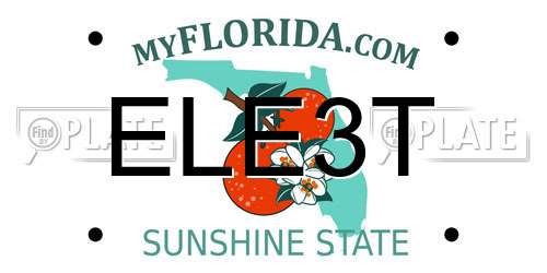 ELE3T Florida License Plate