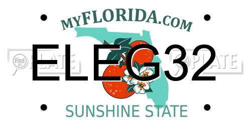ELEG32 Florida License Plate