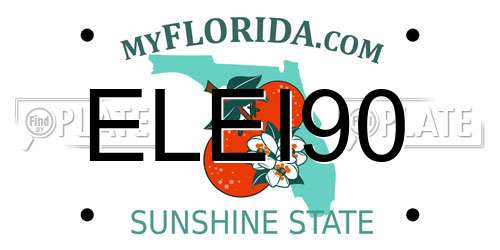 ELEI90 Florida License Plate