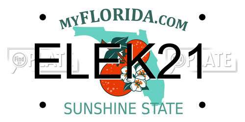 ELEK21 Florida License Plate
