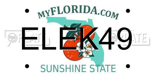 ELEK49 Florida License Plate