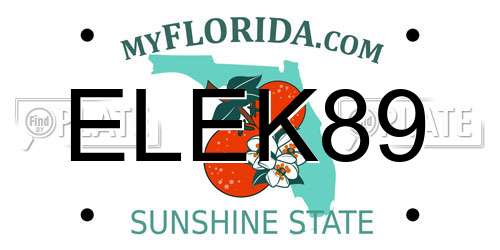 ELEK89 Florida License Plate