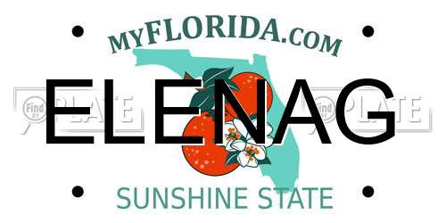 ELENAG Florida License Plate