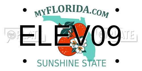 ELEV09 Florida License Plate