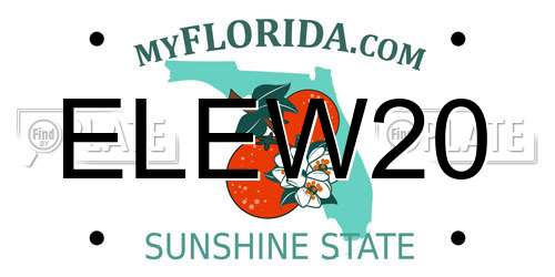 ELEW20 Florida License Plate