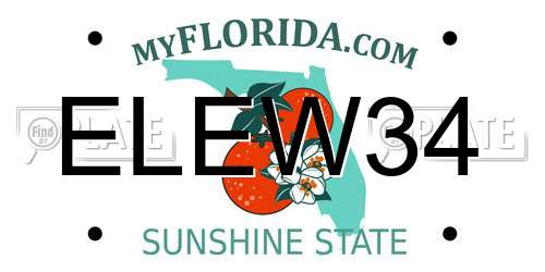 ELEW34 Florida License Plate