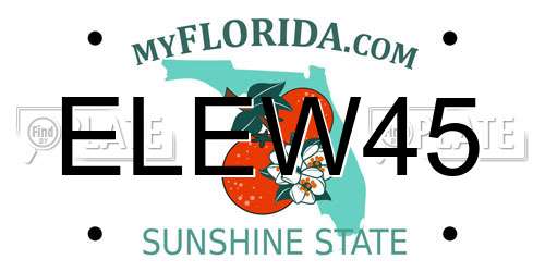 ELEW45 Florida License Plate