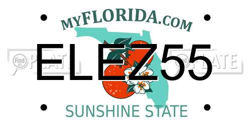 ELEZ55 Florida License Plate